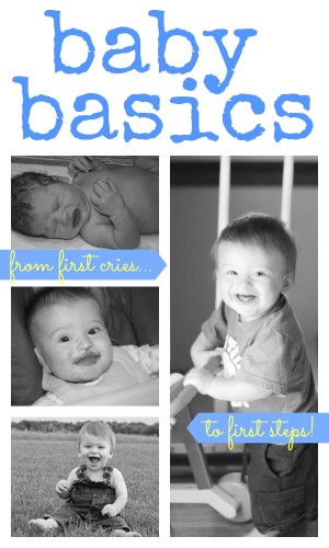 Baby Basics: Resources, Advice, and Activities for Babies 0-12 Months