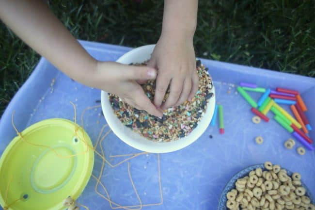 DIY Bird Feeder birdseed