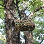 DIY Toilet Paper Roll Bird Feeder