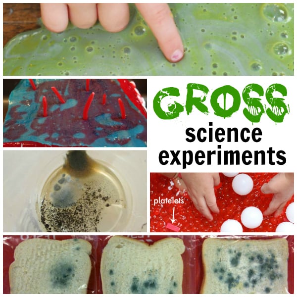 Gross science experiments