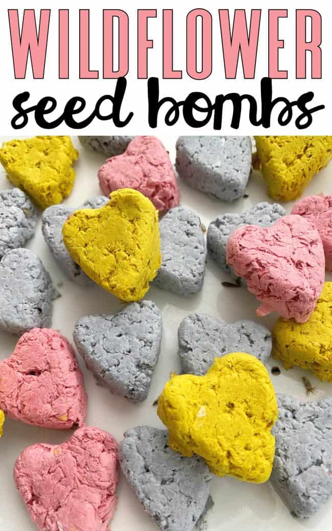 Wildflower Seed Bombs