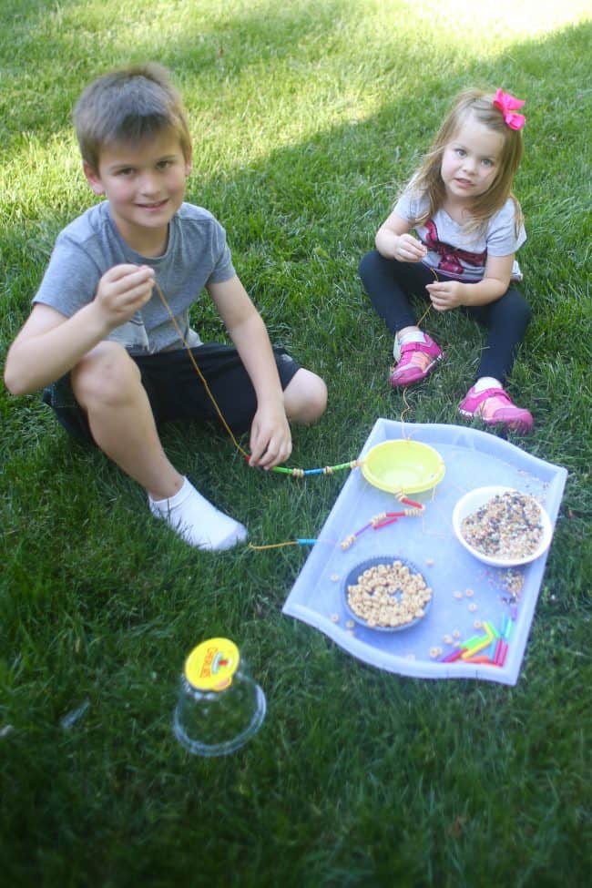 Making a DIY Bird Feeder