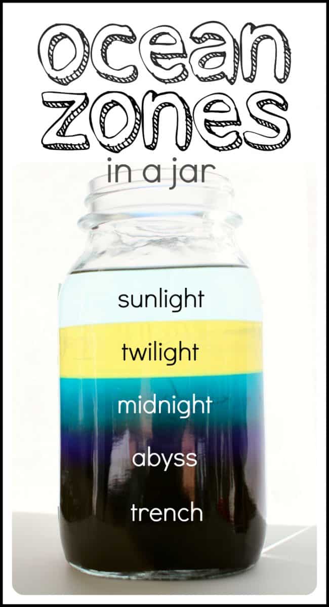 Ocean Zones in a Jar - science project for kids