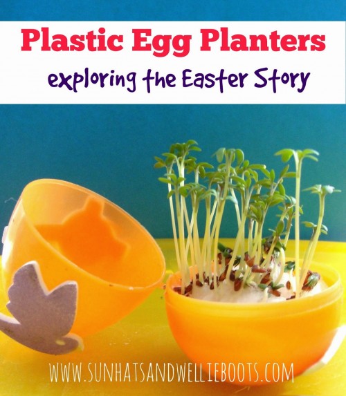 plastic egg planters