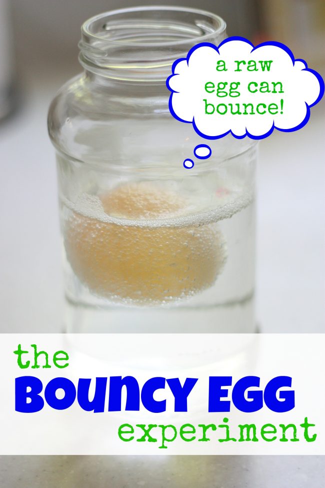 Bouncy Egg Experiment