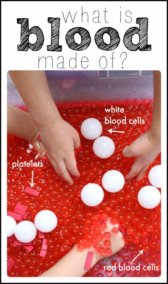 What is blood made of A hands-on science demonstration - science project idea