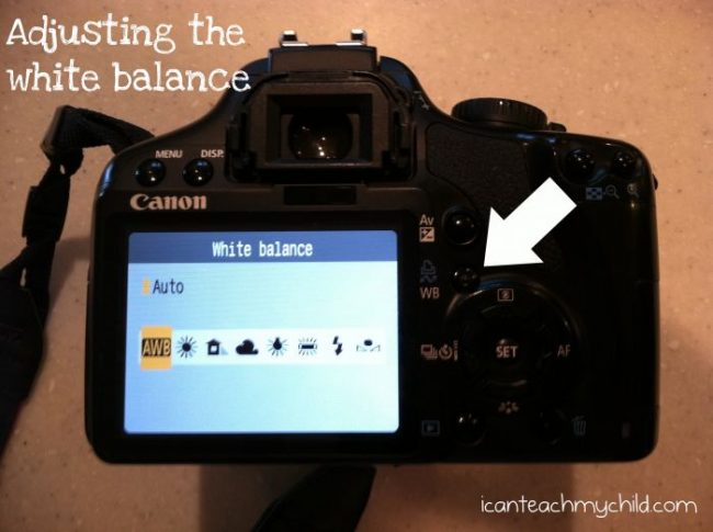 Virtual Photography Class:  White Balance
