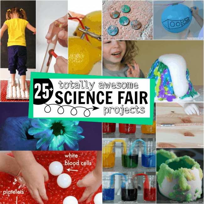 25+ Totally Awesome Science Fair Project Ideas For Kids