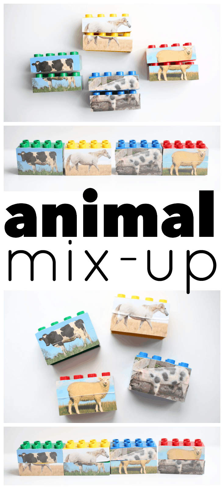 Animal Mix-Up
