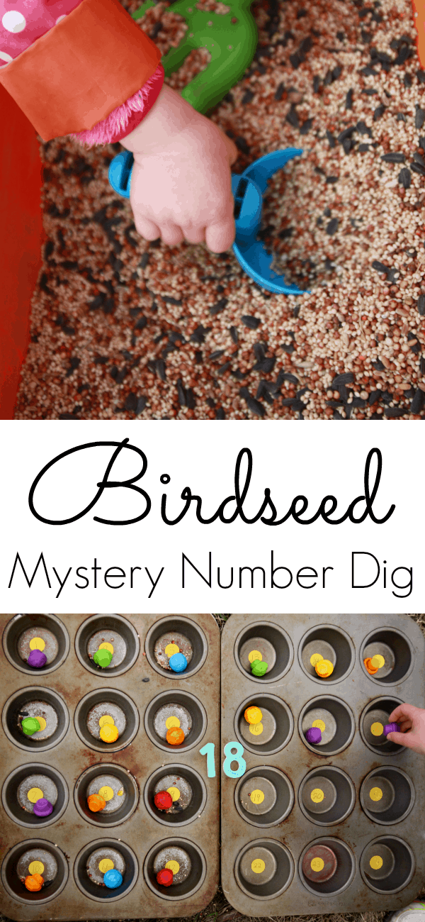 Birdseed Mystery Number Dig