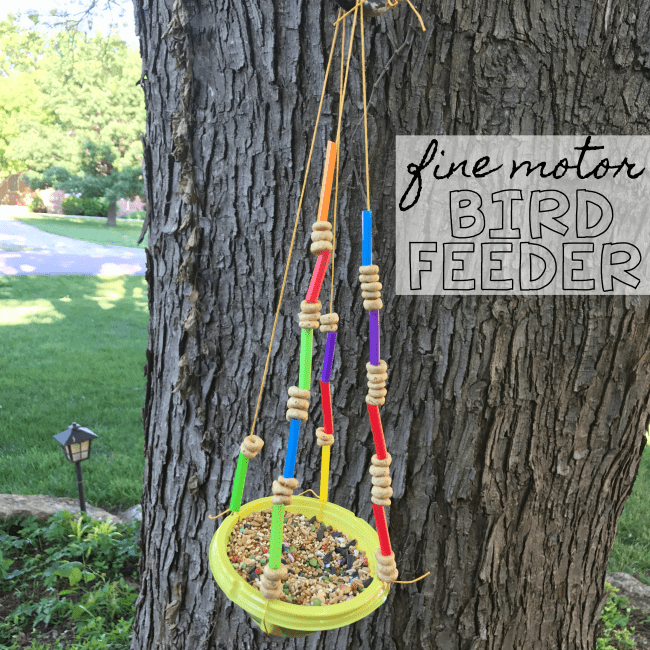 fine motor bird feeder