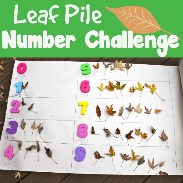 Leaf Pile Number challenge new