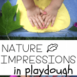 Nature Impressions in Playdough