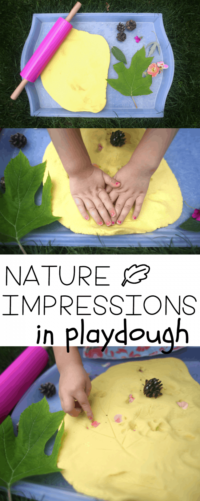 Nature Impressions in Playdough
